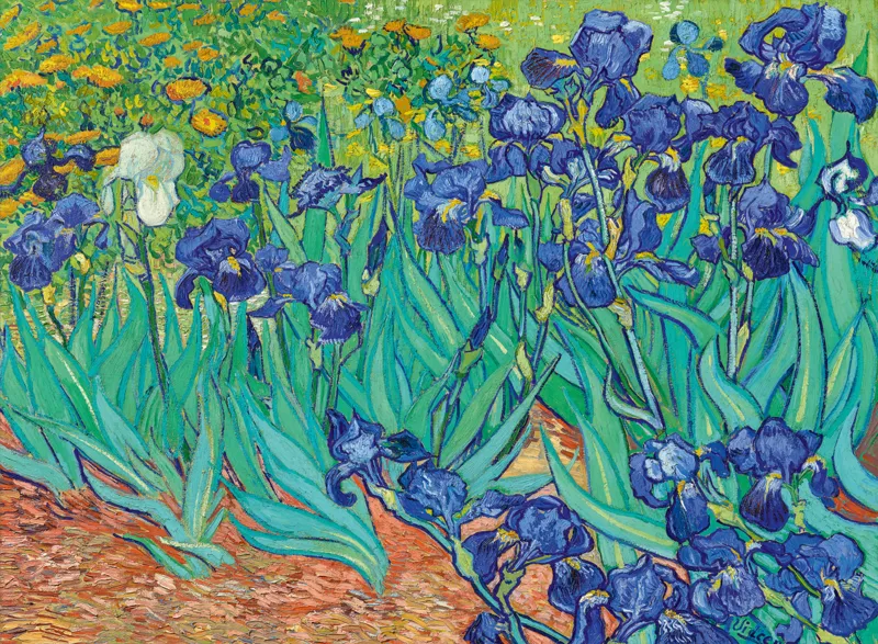 Vincent Van Gogh - Schwertlilien, 1889
