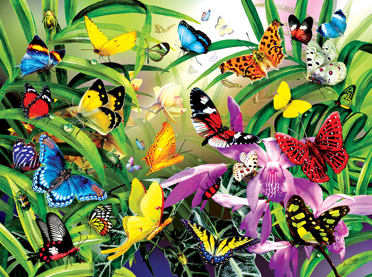 Lori Schory - Tropical Butterflies