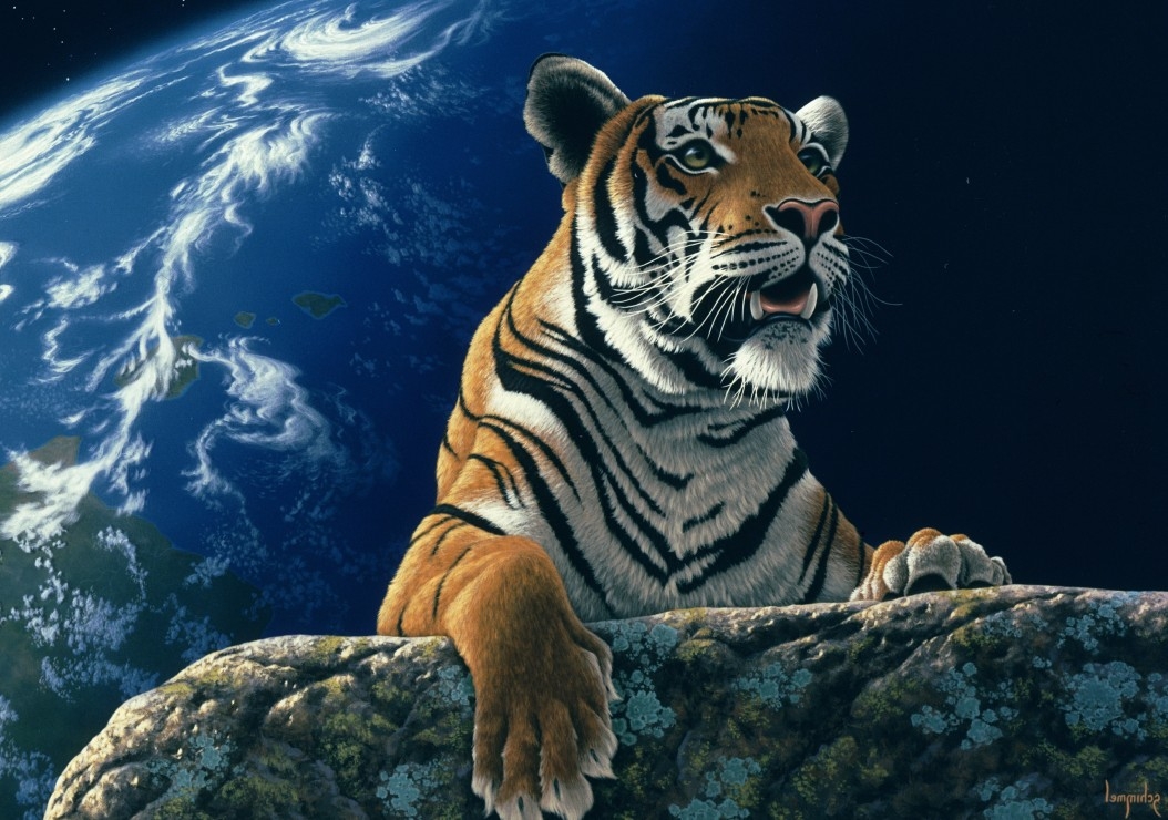 Schim Schimmel - Only One Home 2