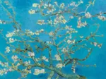 Vincent Van Gogh - Almond Blossom, 1890