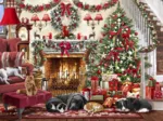 Cosy Fireplace
