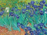 Vincent Van Gogh - Schwertlilien, 1889